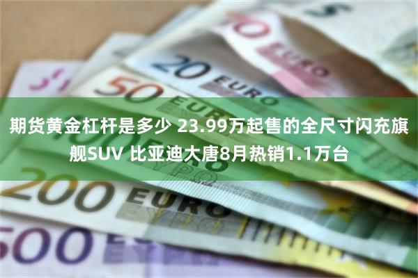 期货黄金杠杆是多少 23.99万起售的全尺寸闪充旗舰SUV 比亚迪大唐8月热销1.1万台