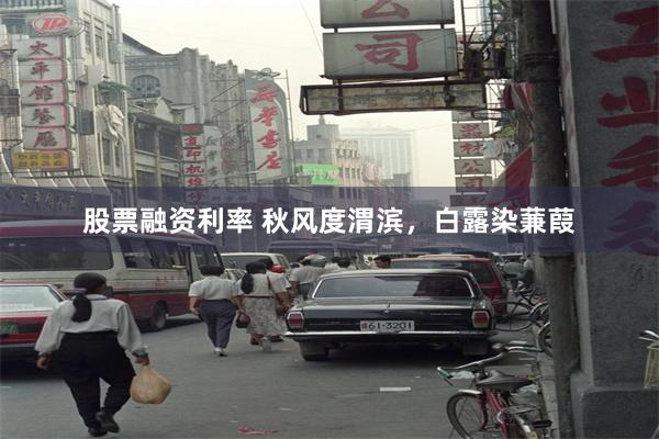 股票融资利率 秋风度渭滨，白露染蒹葭